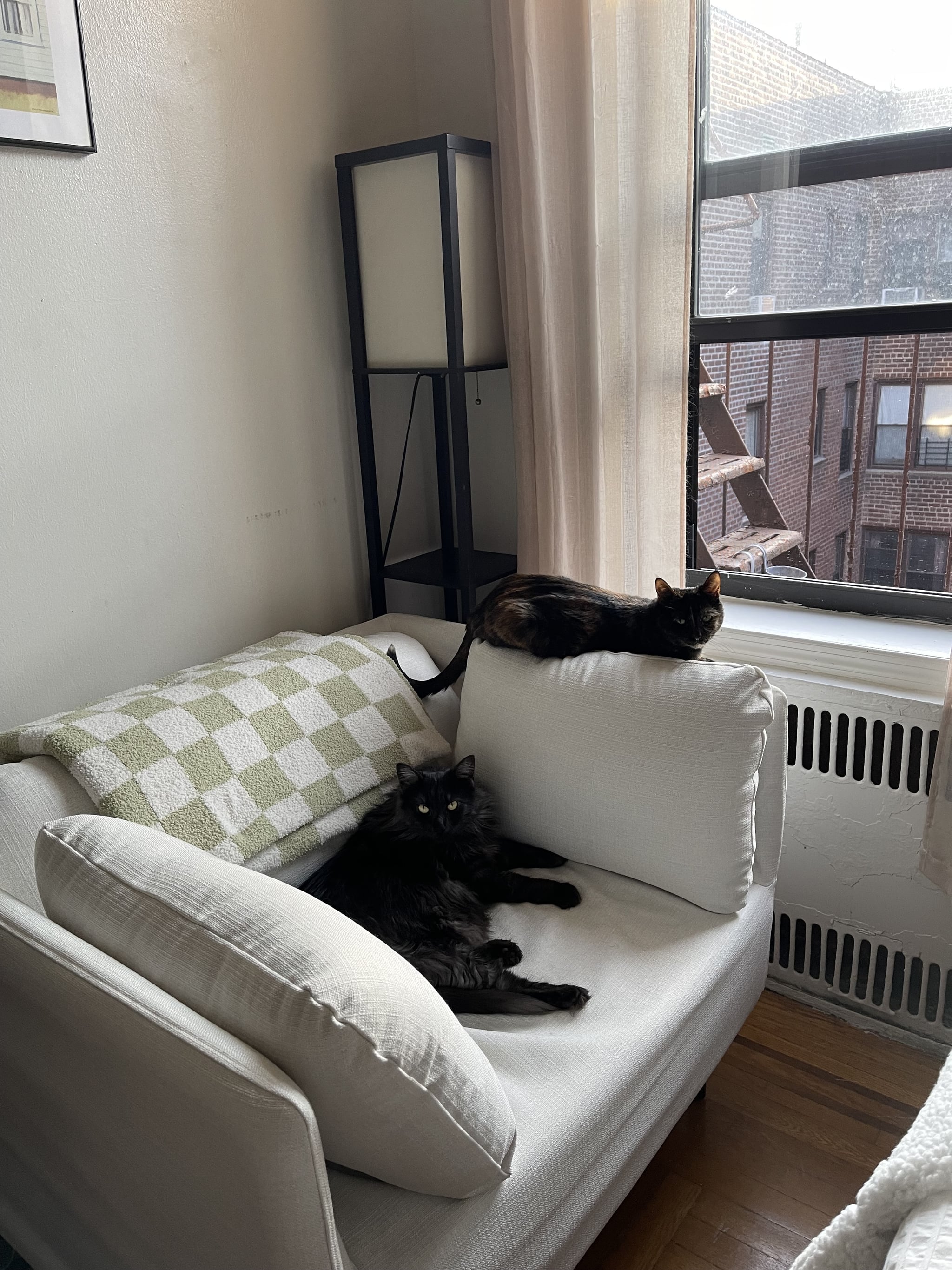The Levity Stratus Armchair and a Half in corner of the room near a window with two cats on it.